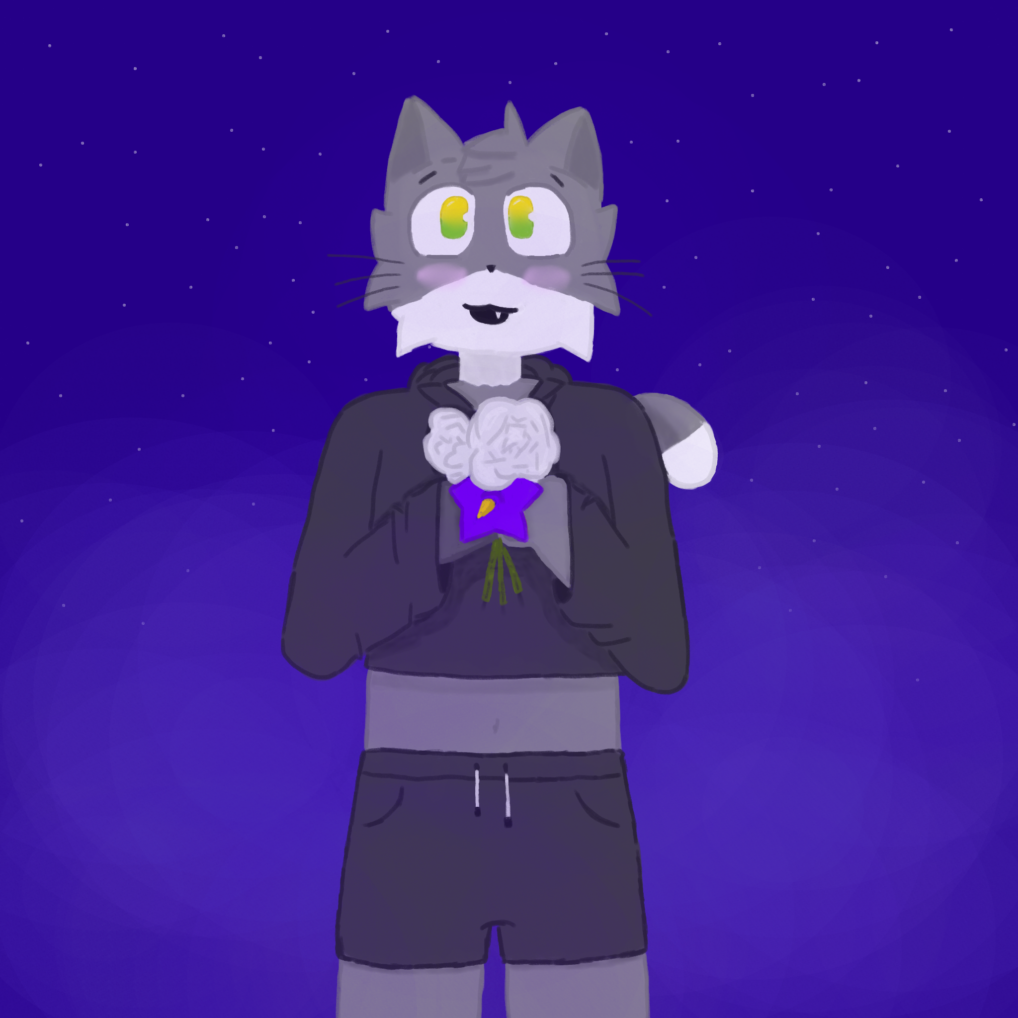 Kotyara